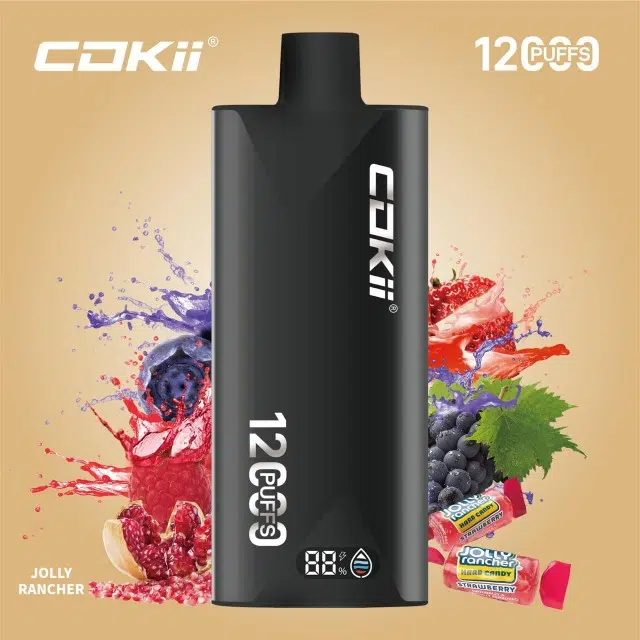 Cokii 12000 Puffs Disposable Vape