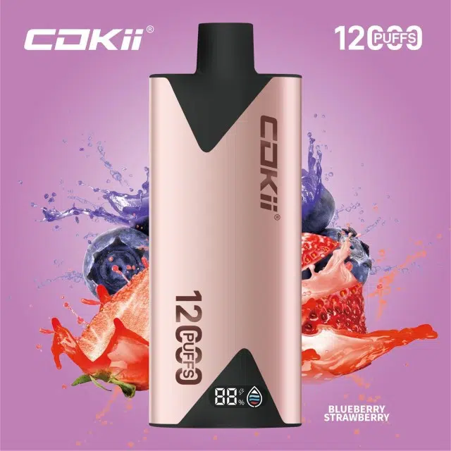 Cokii 12000 Puffs Disposable Vape