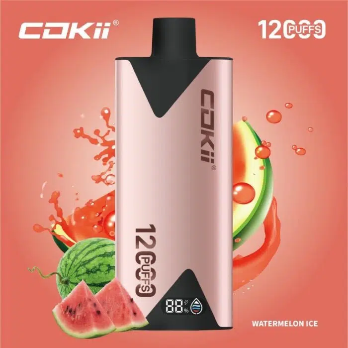 Cokii 12000 Puffs Disposable Vape