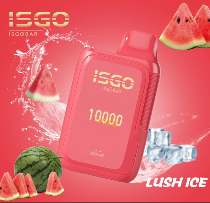 isgo bar 10000puffs disposable vape